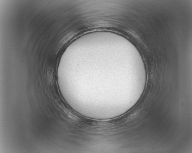 X0000054390873200508191936