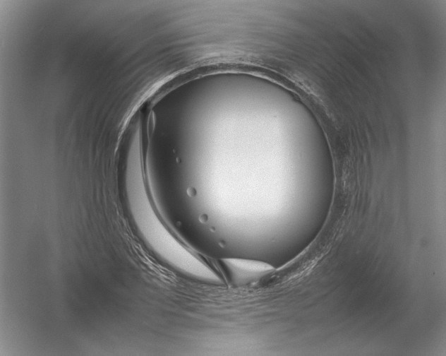 X0000054390877200508191936