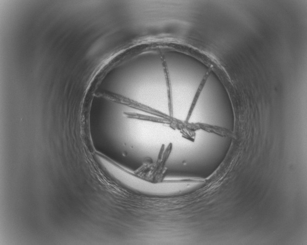 X0000054390879200508191936
