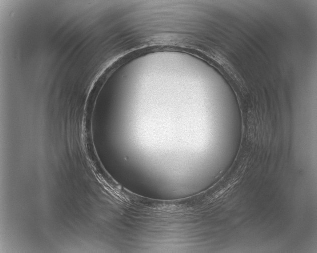 X0000054390880200508191936