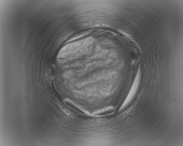 X0000054390881200508191936