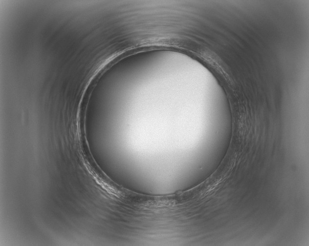 X0000054390884200508191936