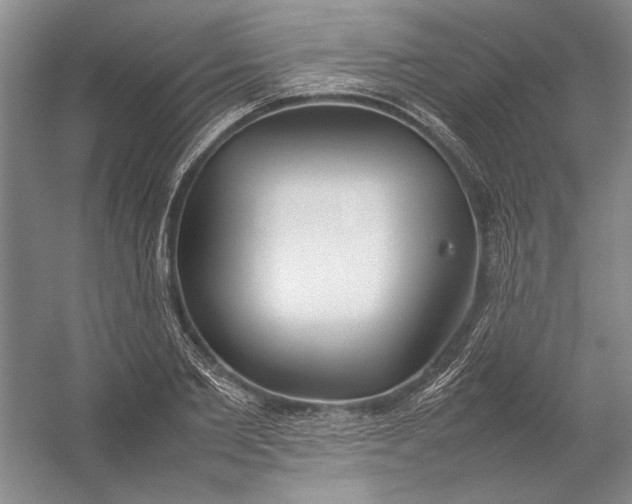 X0000054390885200508191936