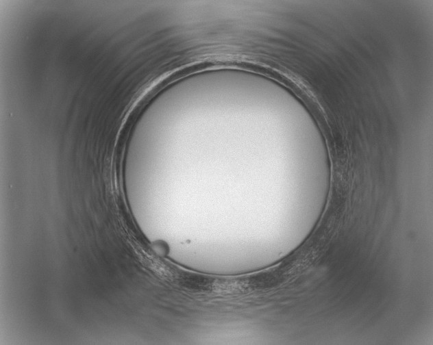 X0000054390887200508191936