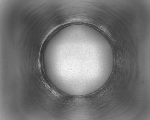 X0000054390888200508191936