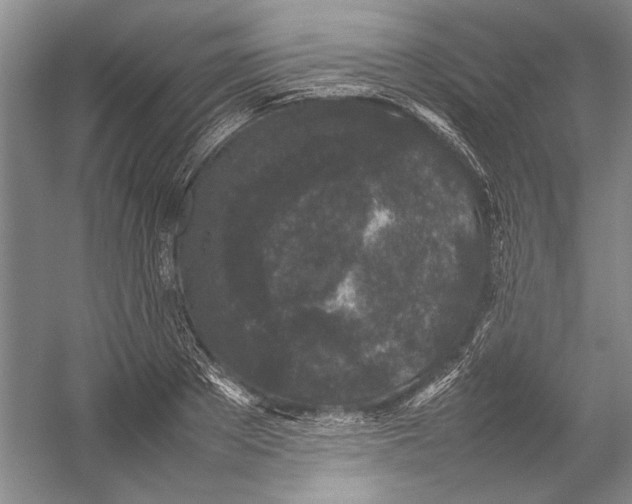 X0000054390889200508191936