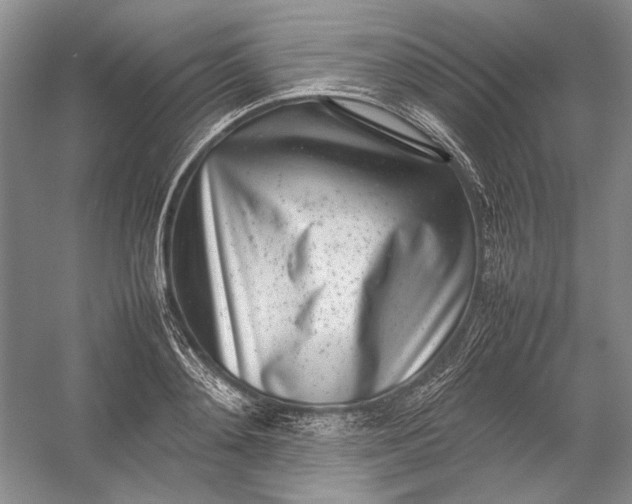X0000054390892200508191936