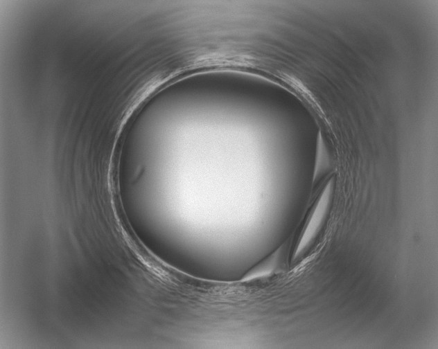 X0000054390893200508191936
