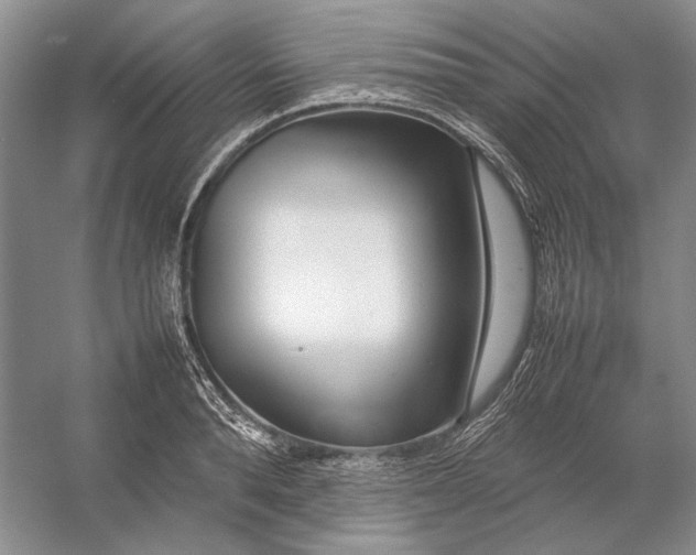 X0000054390896200508191936