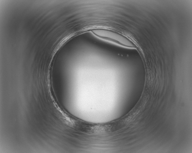 X0000054390898200508191936