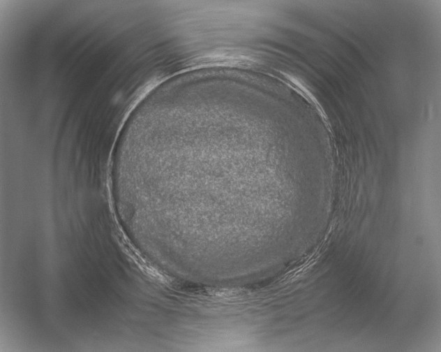 X0000054390899200508191936