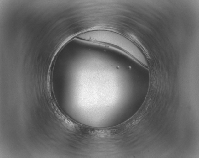 X0000054390900200508191936