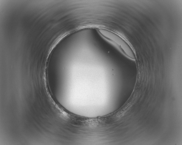 X0000054390906200508191935