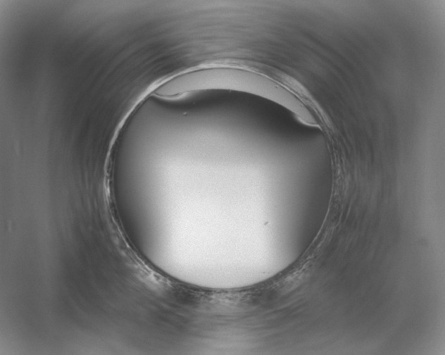 X0000054390908200508191935