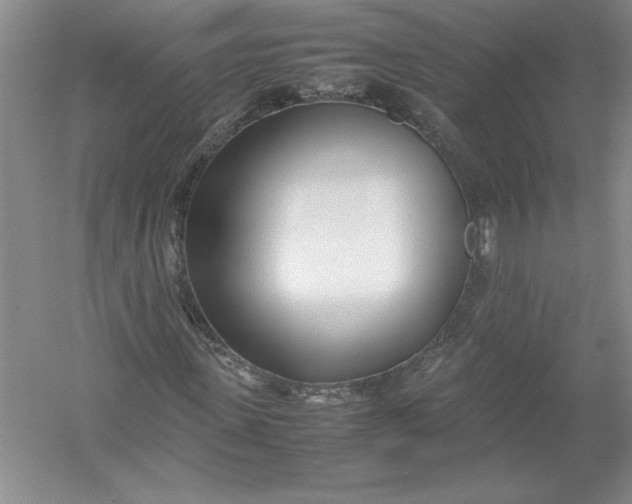X0000054390915200508191935