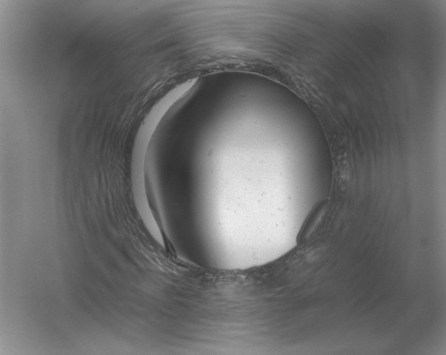 X0000054390916200508191935