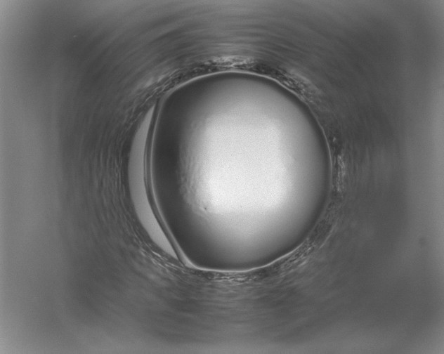 X0000054390917200508191935
