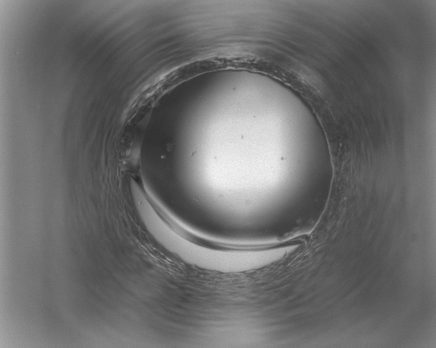 X0000054390920200508191935
