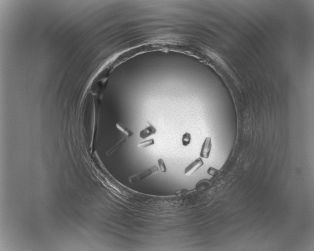 X0000054390923200508191935