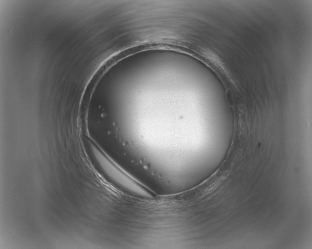 X0000054390924200508191935