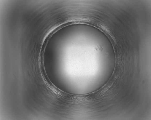 X0000054390928200508191935