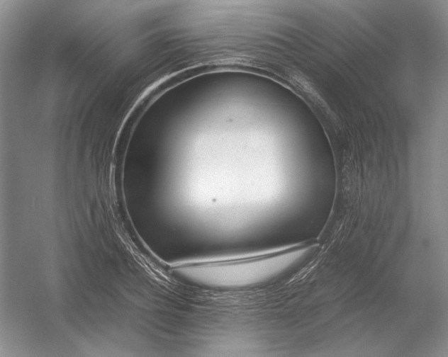 X0000054390932200508191935