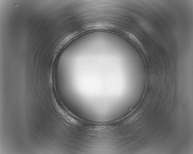 X0000054390938200508191935