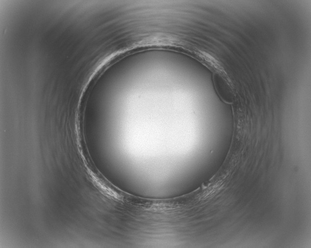 X0000054390942200508191935