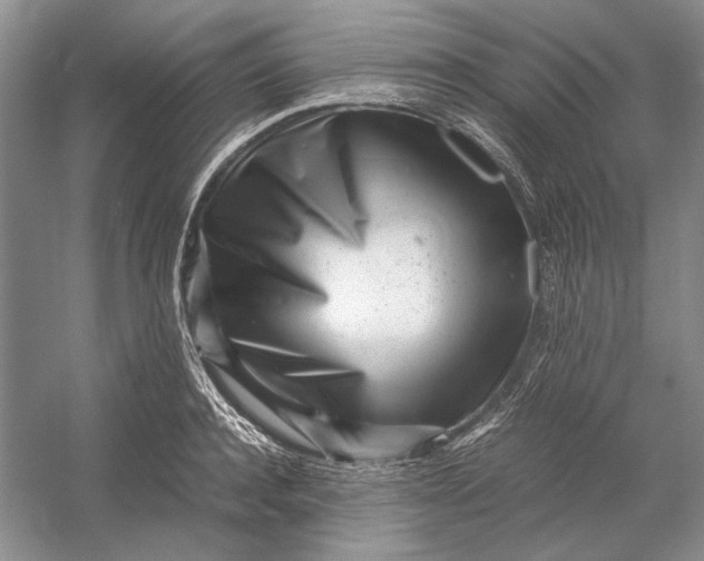 X0000054390944200508191935