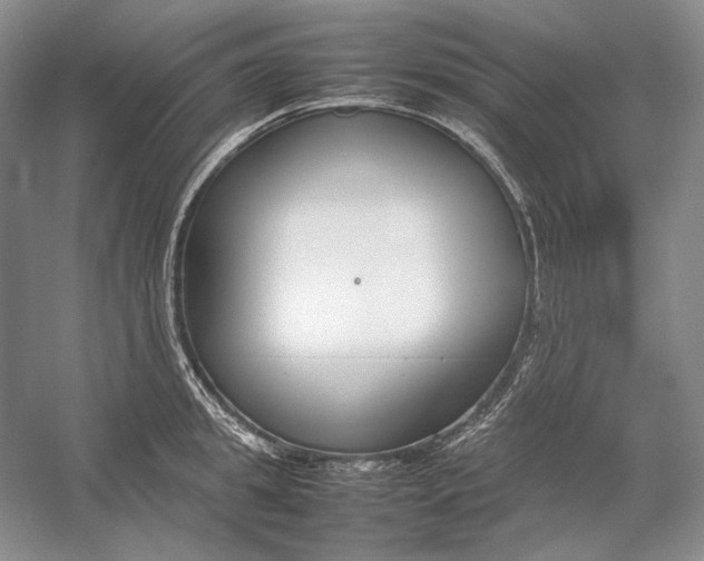 X0000054390949200508191935