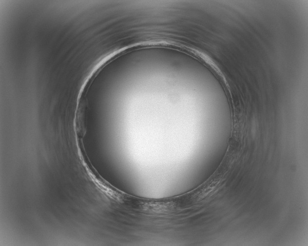 X0000054390951200508191935