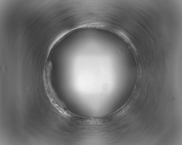 X0000054390952200508191935