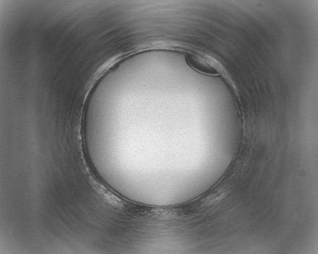X0000054390954200508191935