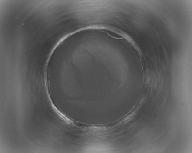 X0000054390958200508191935