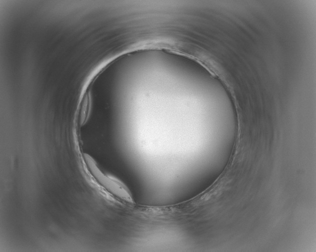X0000054390960200508191935