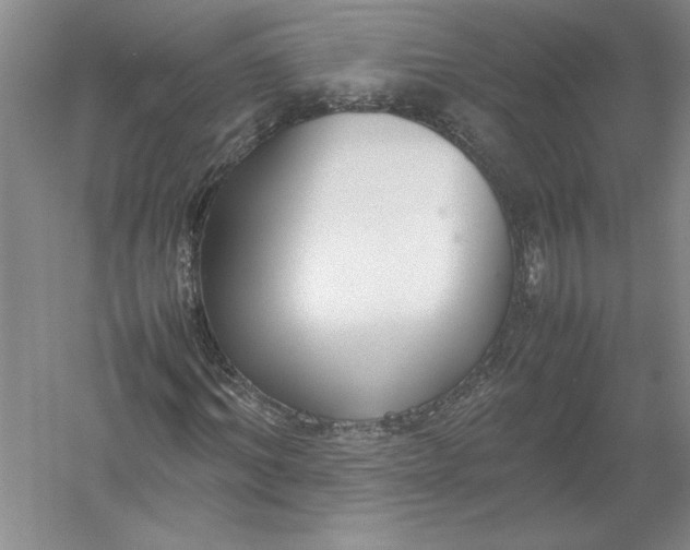 X0000054390964200508191934