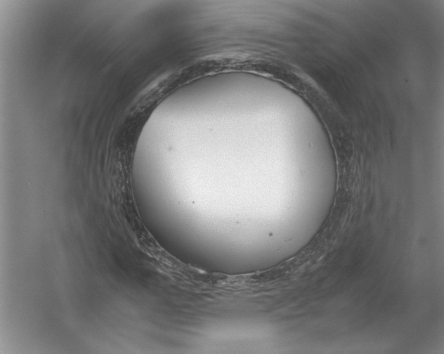 X0000054390967200508191934