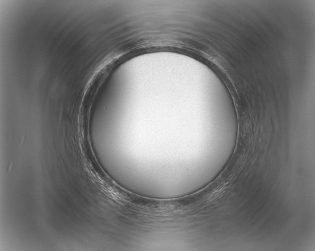 X0000054390979200508191934