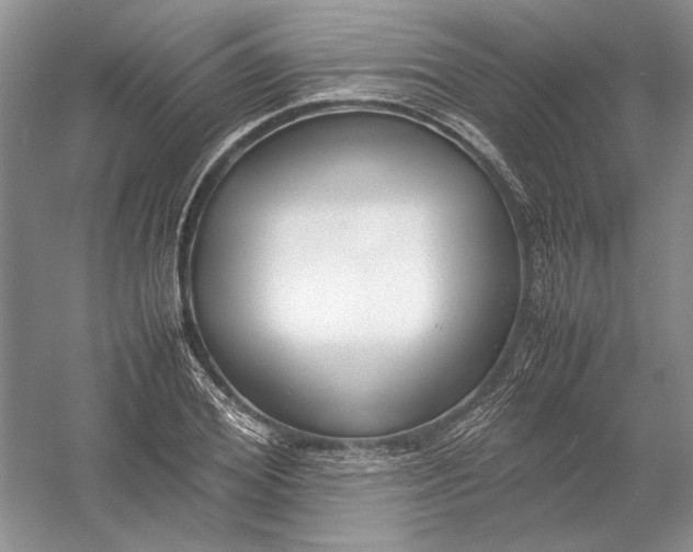 X0000054390980200508191934