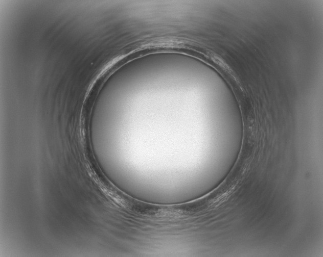 X0000054390981200508191934
