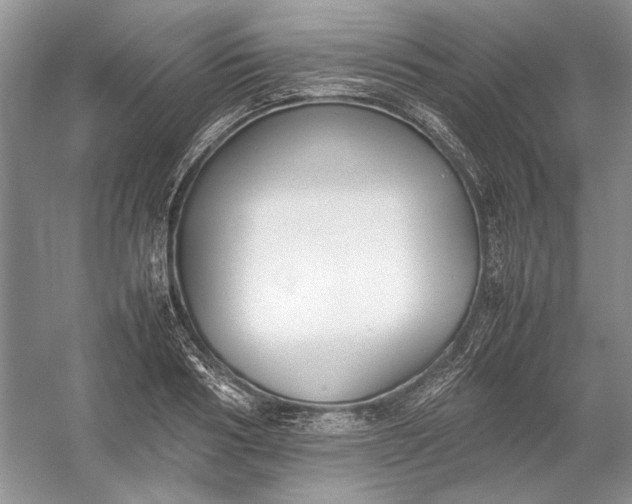 X0000054390986200508191934