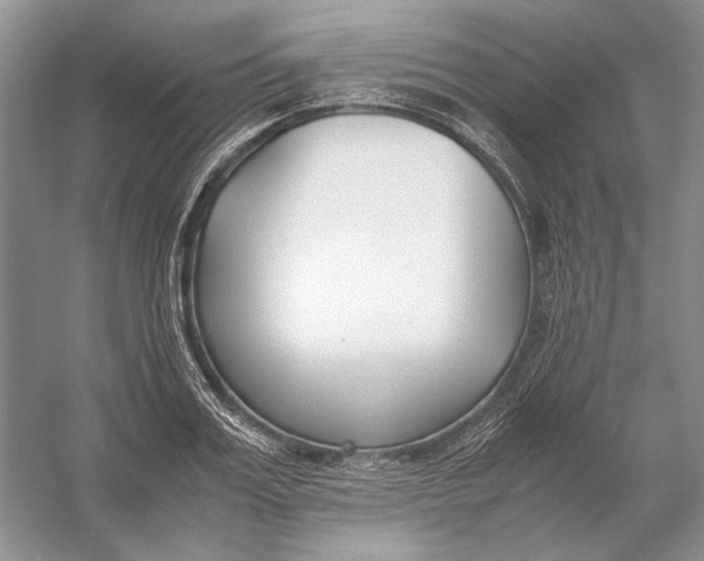 X0000054390987200508191934