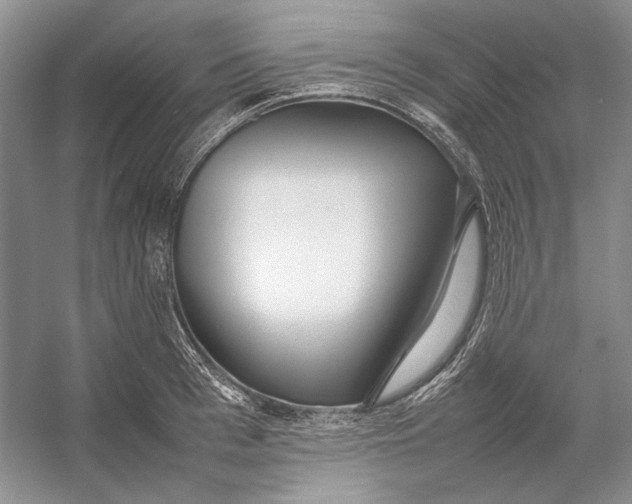 X0000054390993200508191934