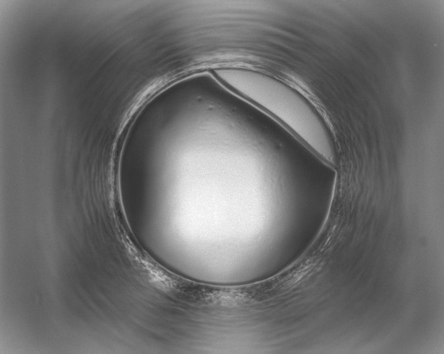 X0000054390994200508191934