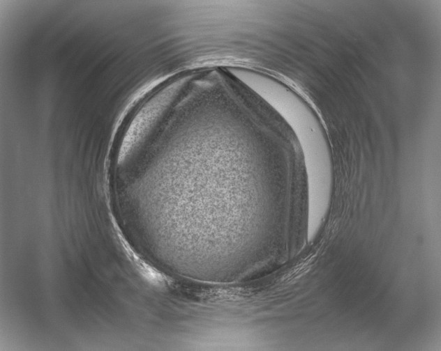 X0000054390995200508191934