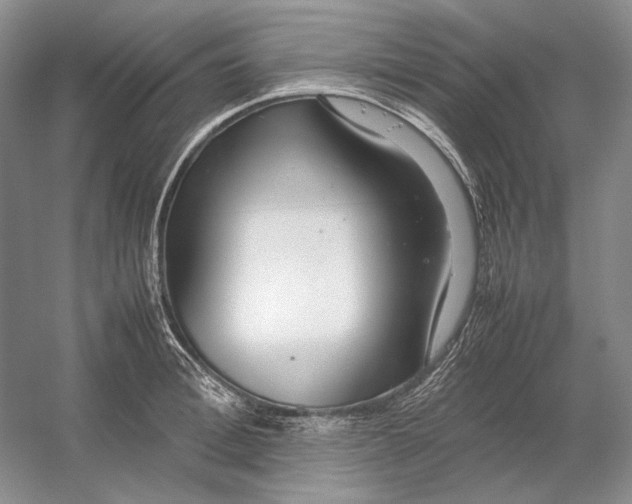 X0000054390996200508191934