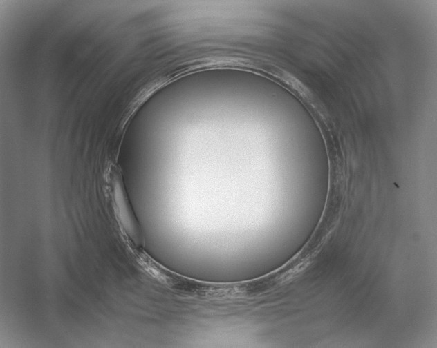 X0000054391001200508191934