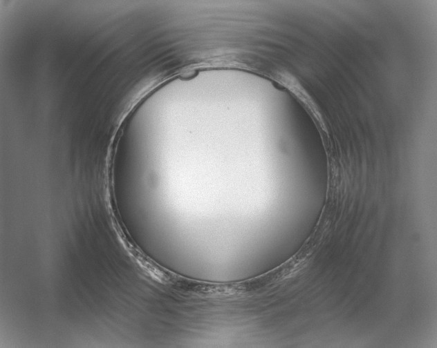 X0000054391002200508191934