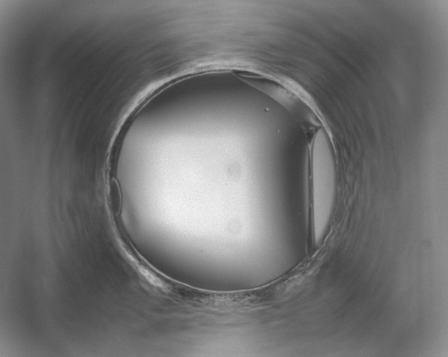 X0000054391005200508191934