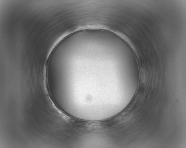 X0000054391006200508191934